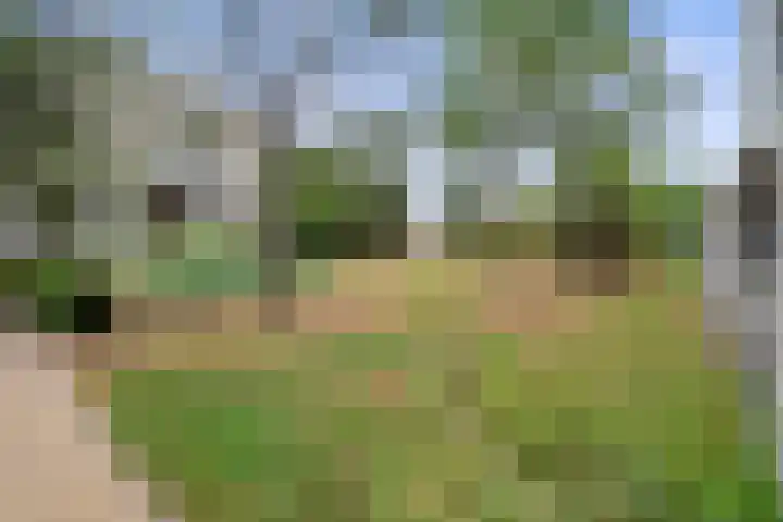 Heunpark 4033 Vught thumbnail 35