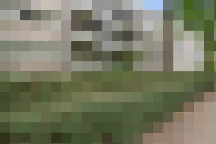 Heunpark 4033 Vught thumbnail 46