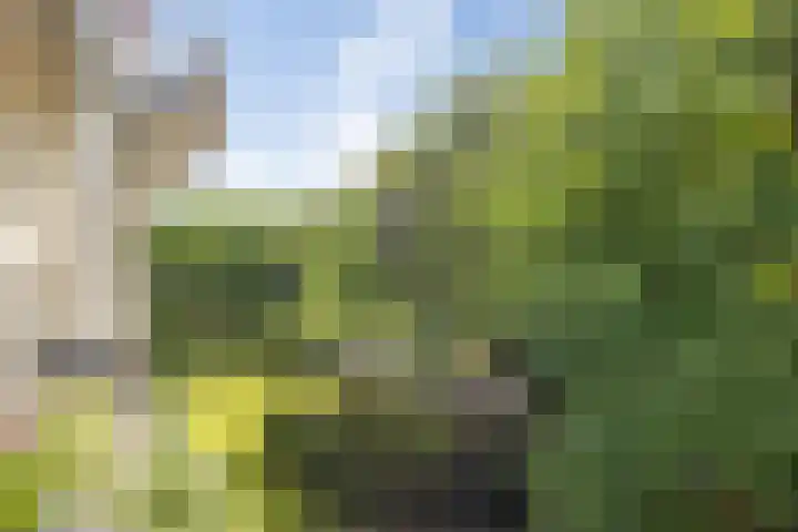 Heunpark 4213 Vught thumbnail 37