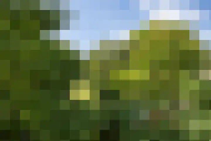 Heunpark 4213 Vught thumbnail 38