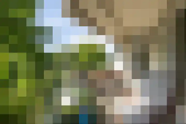 Heunpark 4213 Vught thumbnail 4