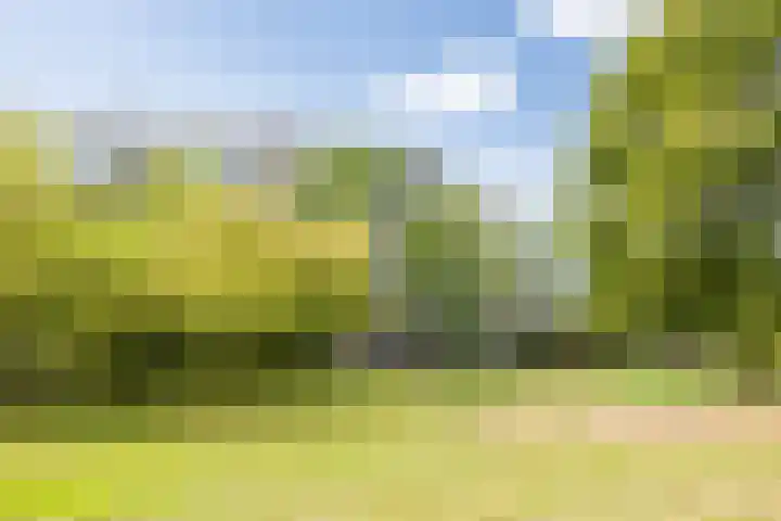 Heunpark 4213 Vught thumbnail 45