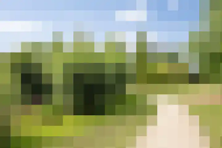 Heunpark 4213 Vught thumbnail 46