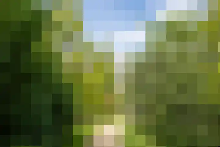 Heunpark 4213 Vught thumbnail 47