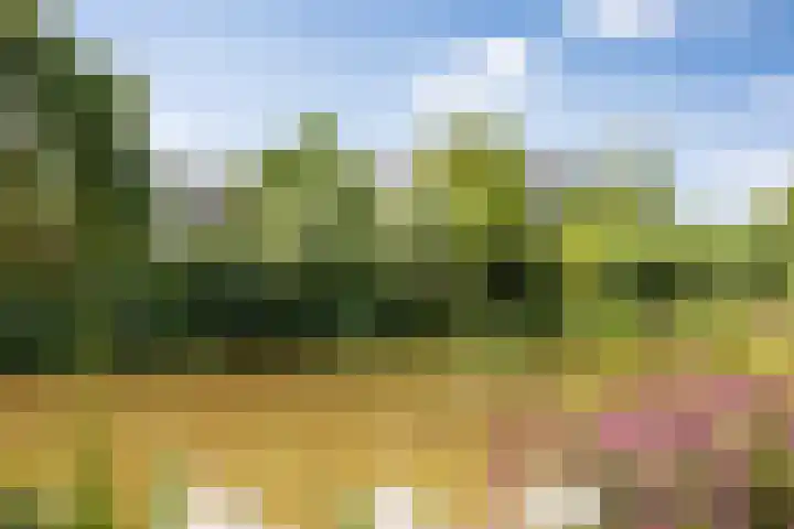 Heunpark 4213 Vught thumbnail 48