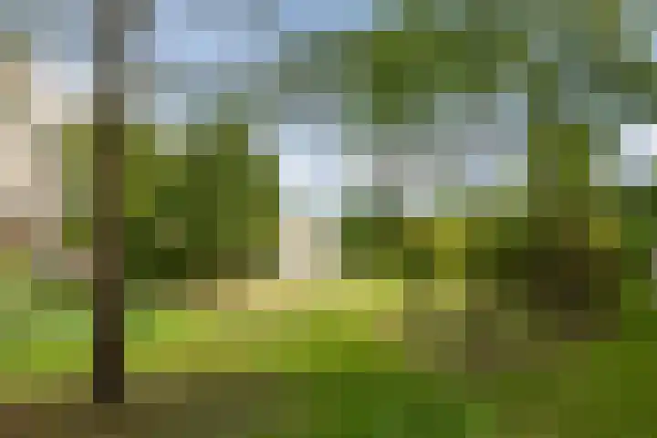 Heunpark 4213 Vught thumbnail 5