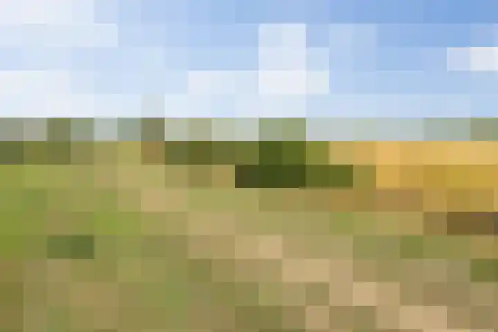 Heunpark 4213 Vught thumbnail 52