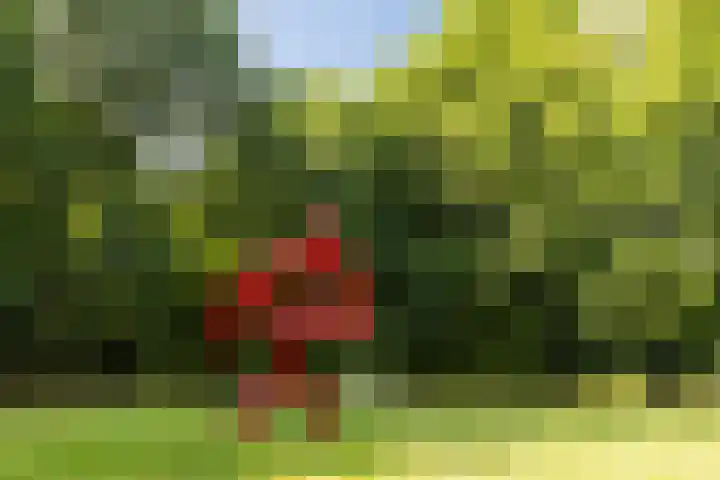 Heunpark 4213 Vught thumbnail 53