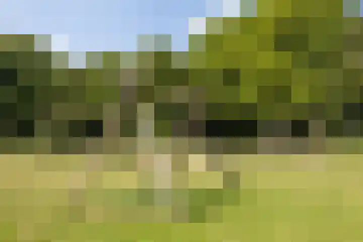 Heunpark 4213 Vught thumbnail 54
