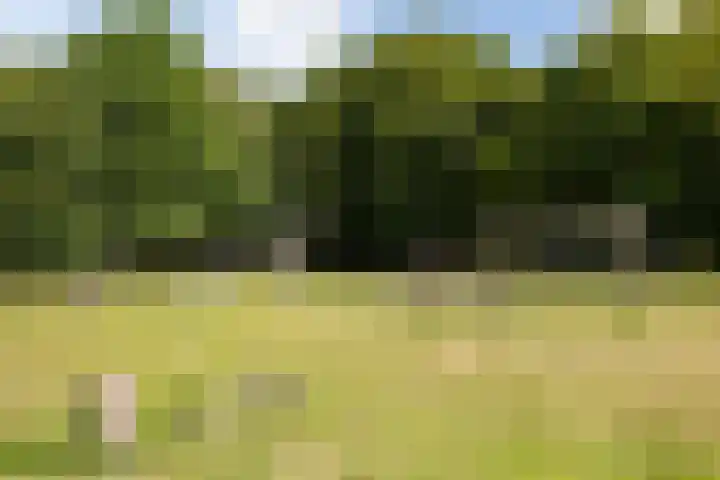 Heunpark 4213 Vught thumbnail 55