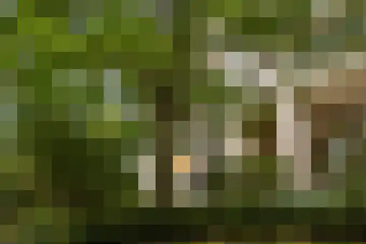 Heunpark 4213 Vught thumbnail 7
