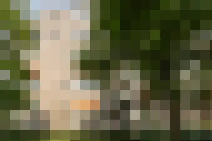 Heunpark 4213 Vught thumbnail 8
