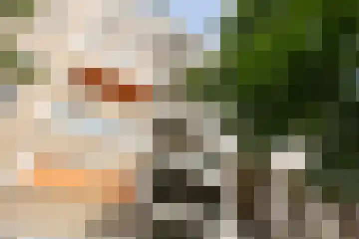 Heunpark 4213 Vught thumbnail 9