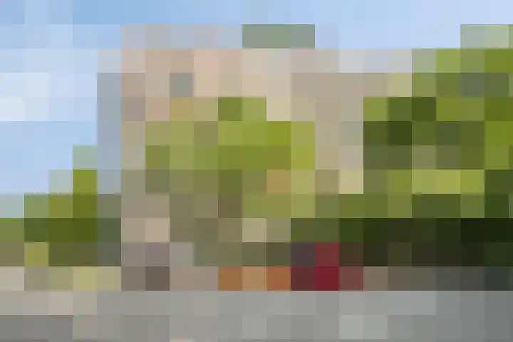 Heunpark 4413 Vught thumbnail 35