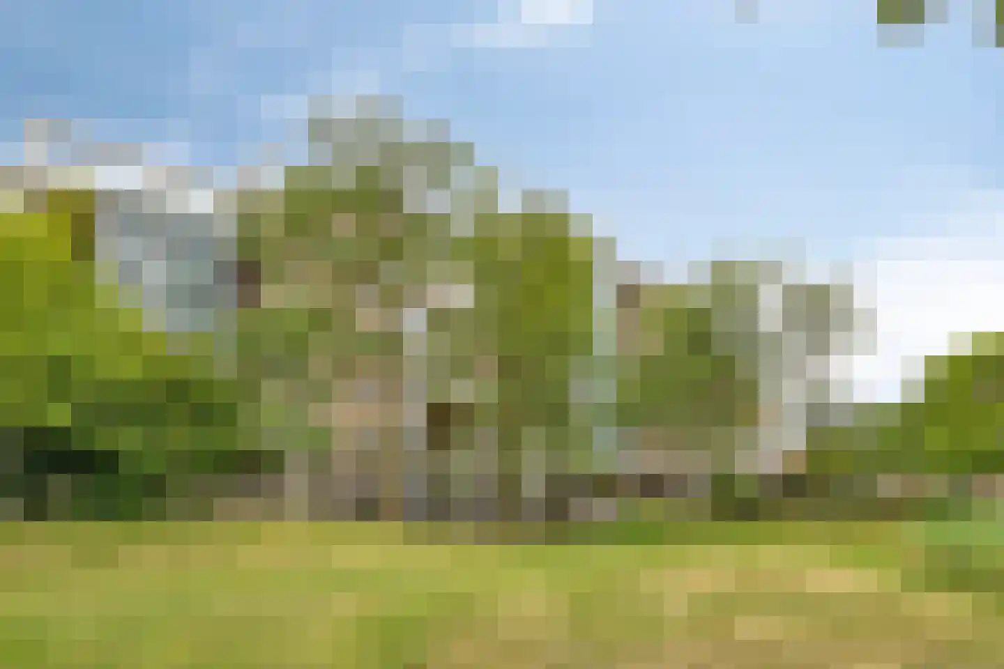 Heunpark 4415 Vught thumbnail 30