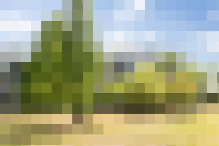 Heunpark 4514 Vught thumbnail 5