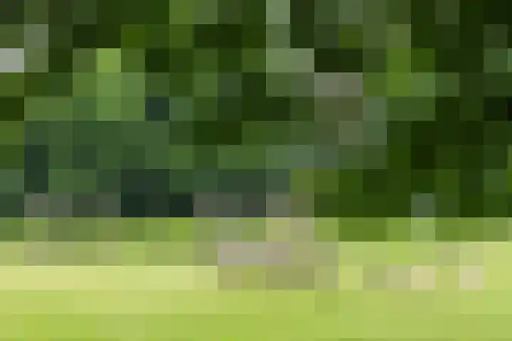 Heunpark 4612 Vught thumbnail 22