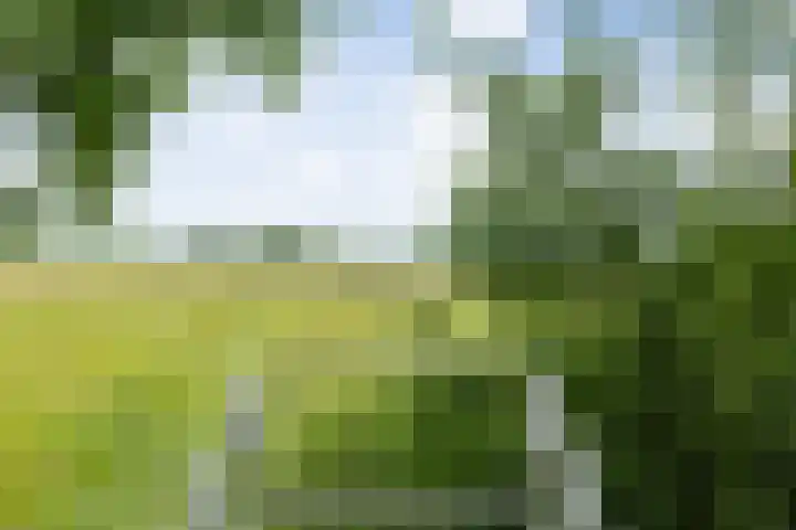 Heunpark 4612 Vught thumbnail 26