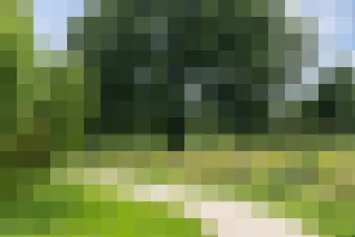Heunpark 4612 Vught thumbnail 31