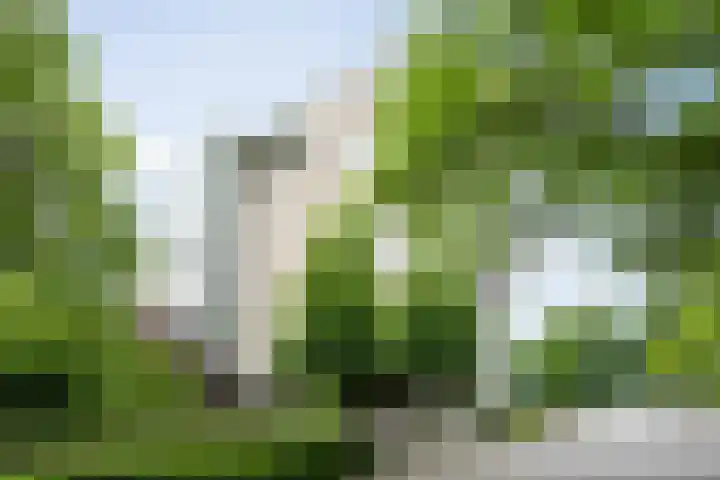 Heunpark 4612 Vught thumbnail 34