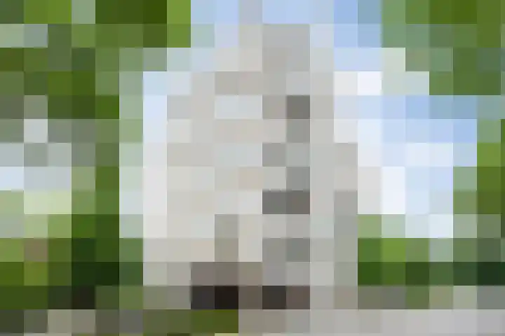 Heunpark 4612 Vught thumbnail 35