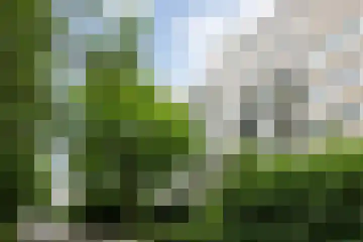 Heunpark 4612 Vught thumbnail 4