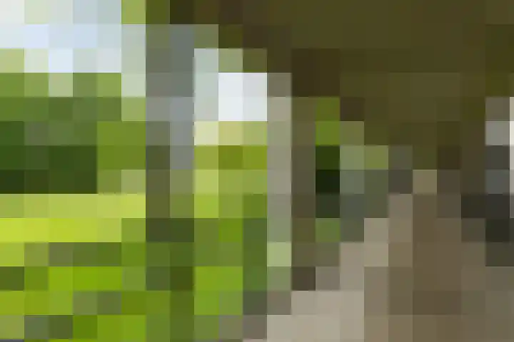 Heunpark 4612 Vught thumbnail 5