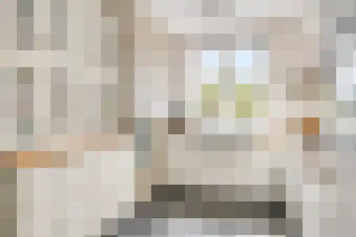 Heurneweg 1 B Halle thumbnail 10