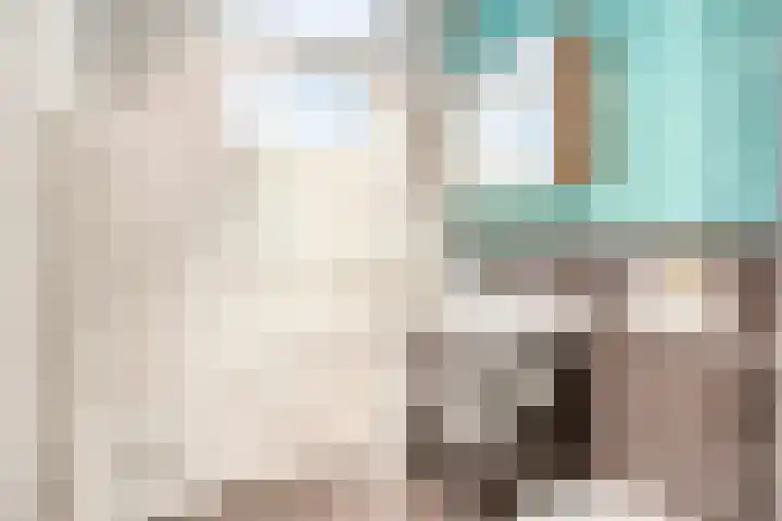 Heurneweg 1 B Halle thumbnail 17