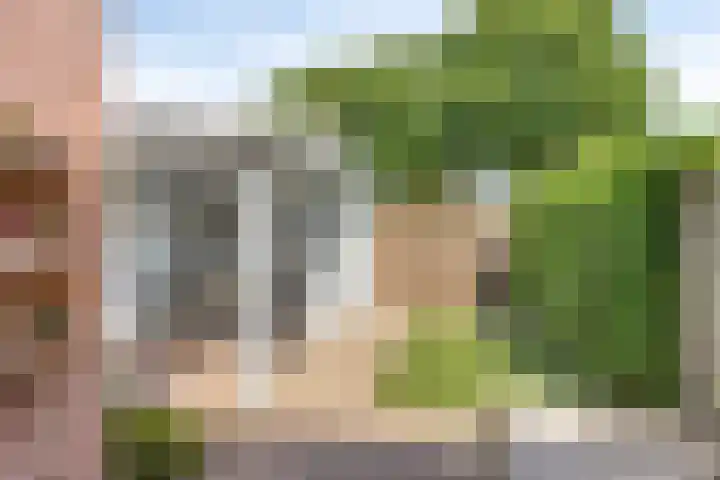 Heurneweg 1 B Halle thumbnail 25