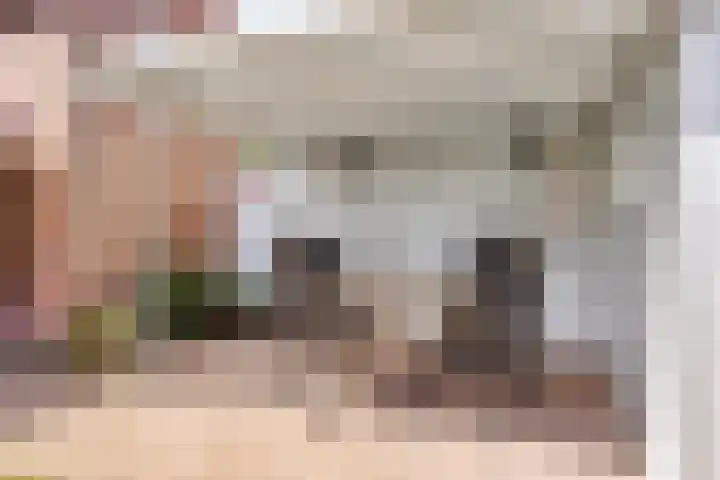 Heurneweg 1 B Halle thumbnail 27