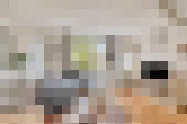 Heurneweg 1 B Halle thumbnail 5