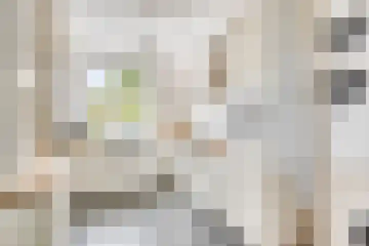 Heurneweg 1 B Halle thumbnail 9