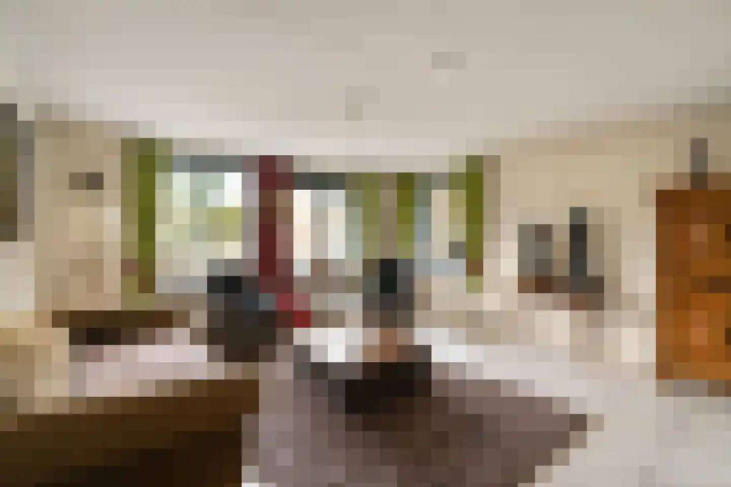 Heusdenhoutsestraat 20 A1 Breda thumbnail 8