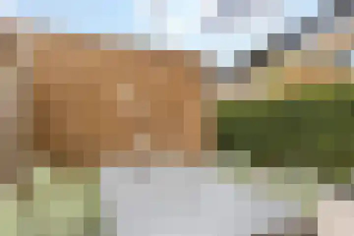 Heusdenhoutsestraat 22 A3 Breda thumbnail 30