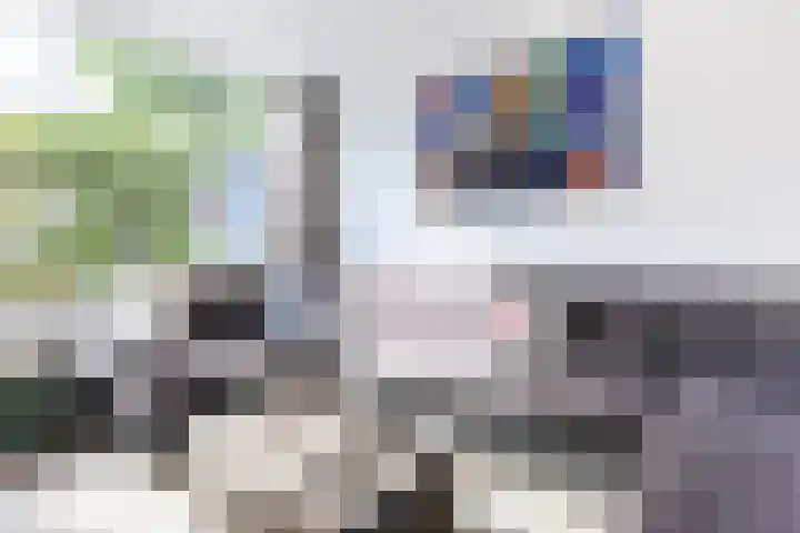 Heusdenhoutsestraat 74 Breda thumbnail 8