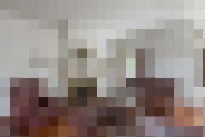 Heusdenhoutseweg 86 Breda thumbnail 8