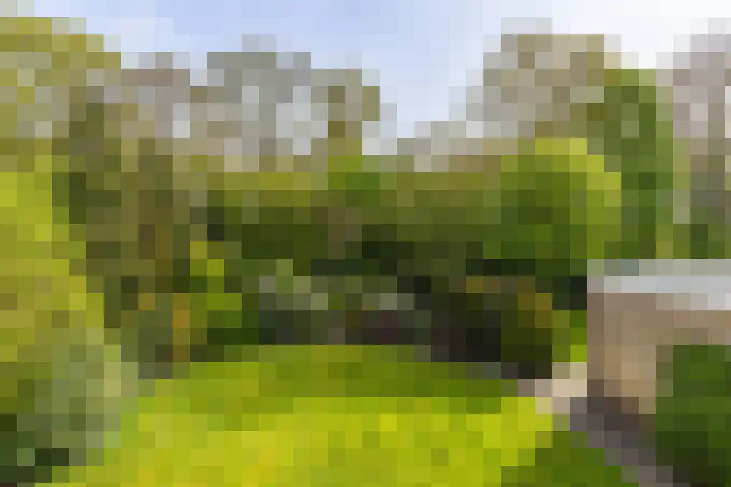 Heusdenlaan 12 Stadskanaal thumbnail 39