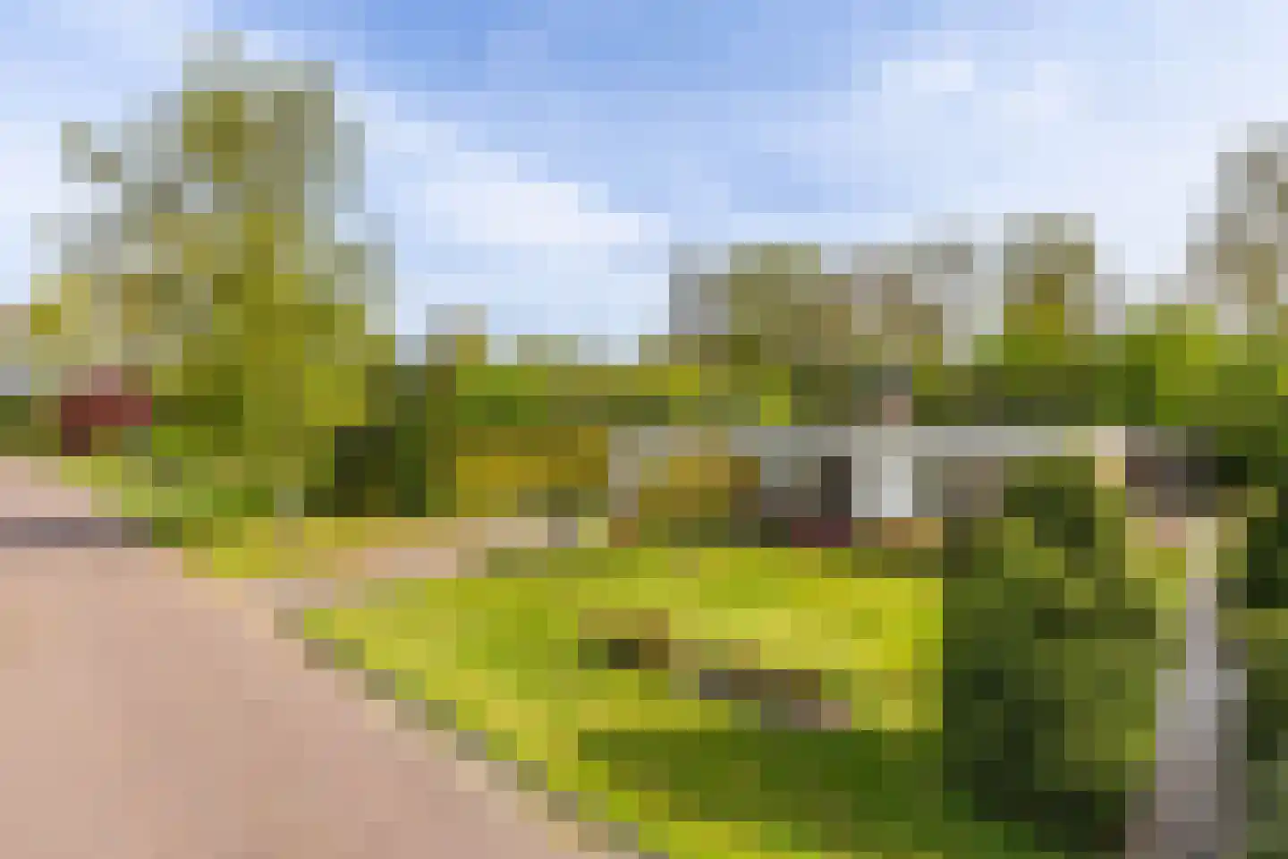 Heusdenlaan 12 Stadskanaal thumbnail 45