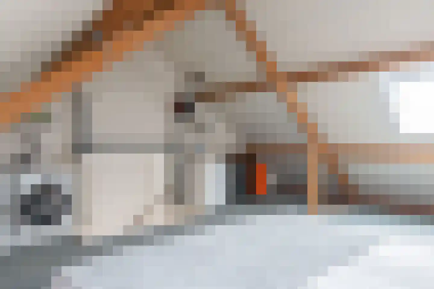 Heusdenlaan 24 Tilburg thumbnail 33