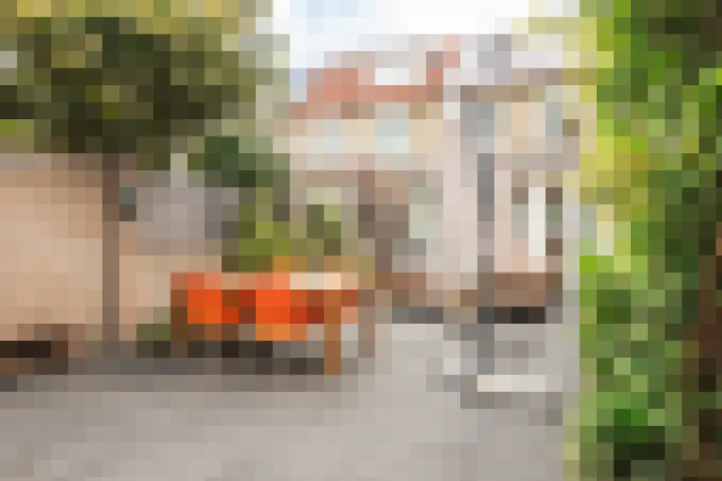 Heusdenlaan 24 Tilburg thumbnail 38