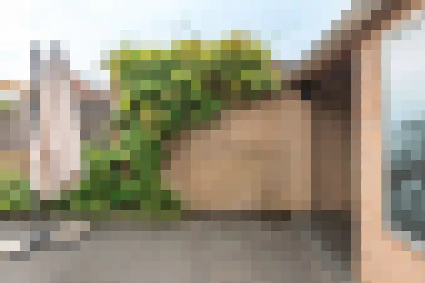 Heusdenlaan 24 Tilburg thumbnail 39