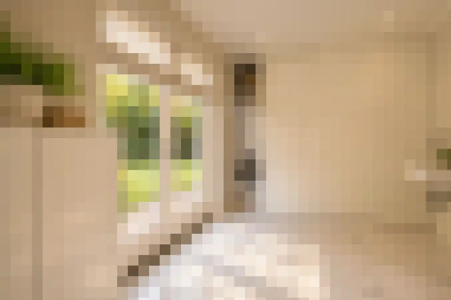 Heusdensebaan 2 Oisterwijk thumbnail 28