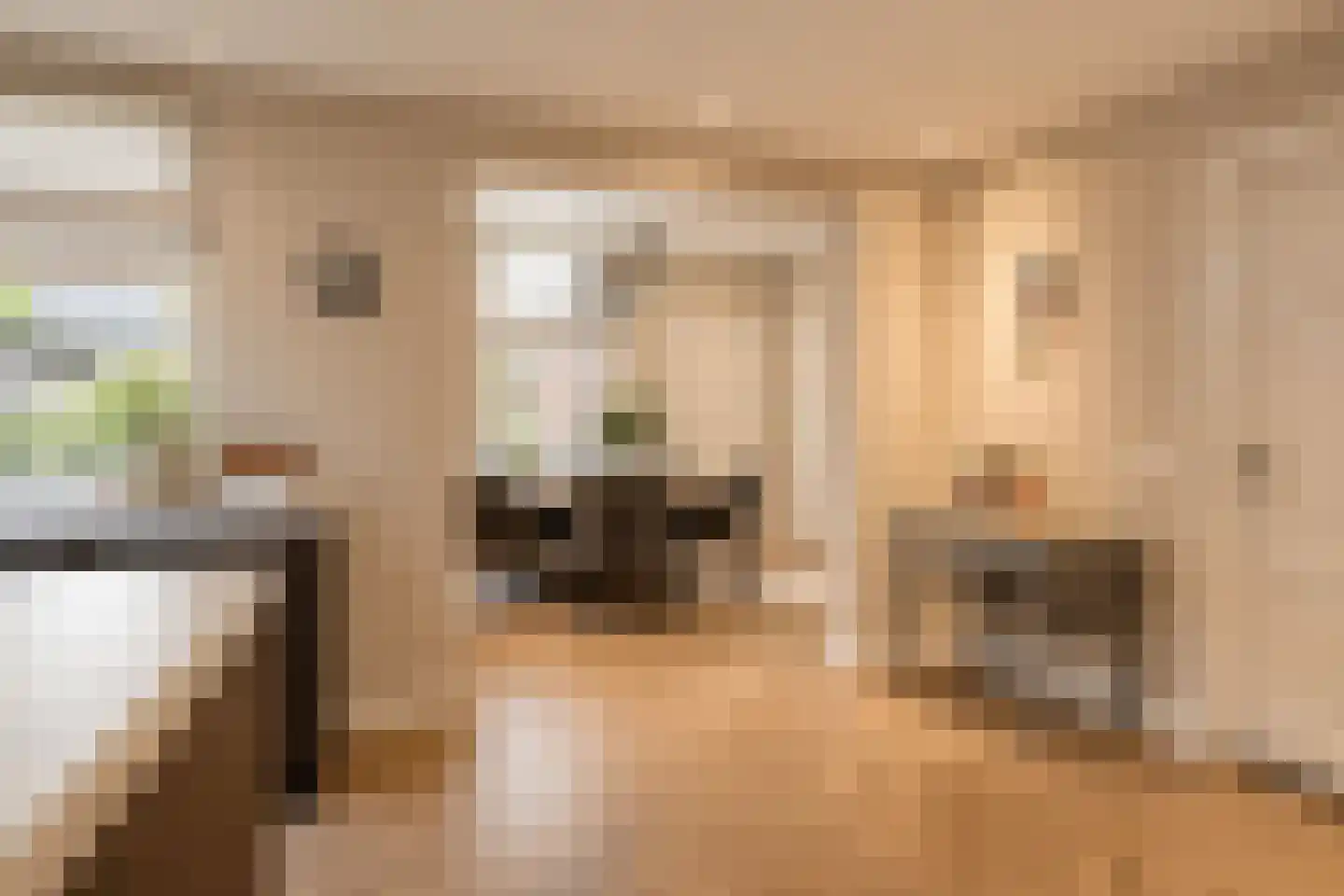 Heusdensebaan 2 Oisterwijk thumbnail 7