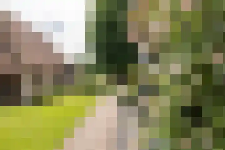 Heusdensebaan 97 Oisterwijk thumbnail 18