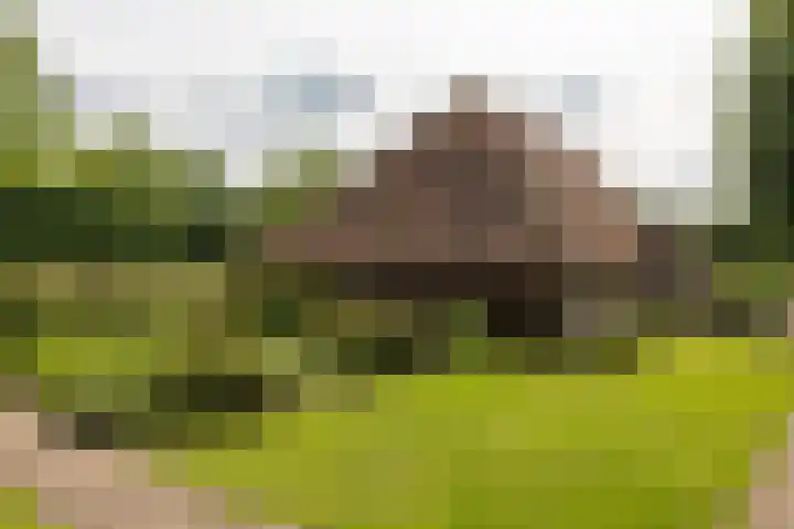 Heusdensebaan 97 Oisterwijk thumbnail 21