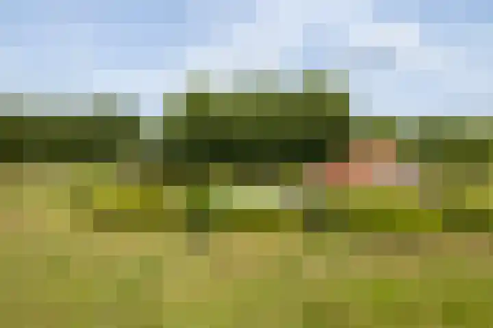 Heusdensebaan 97 Oisterwijk thumbnail 26