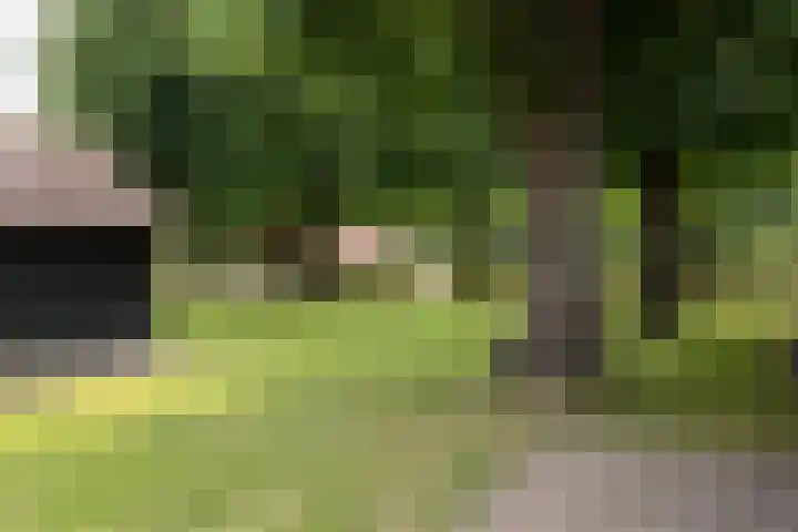 Heusdensebaan 97 Oisterwijk thumbnail 31