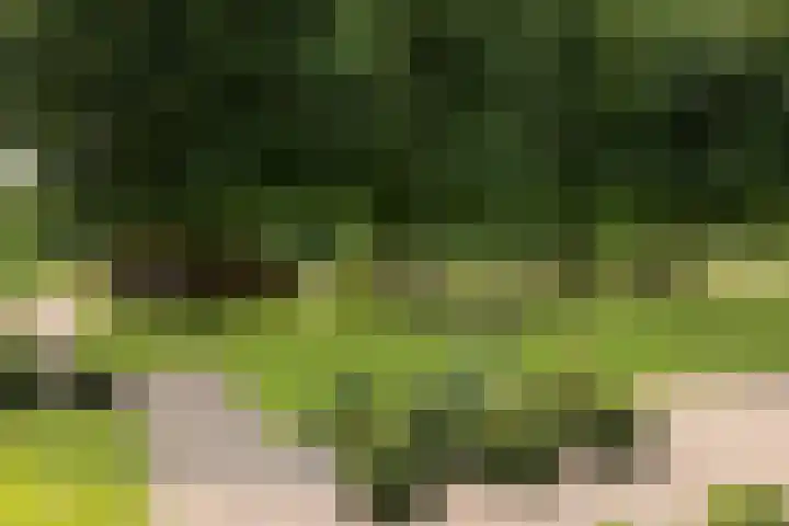 Heusdensebaan 97 Oisterwijk thumbnail 32