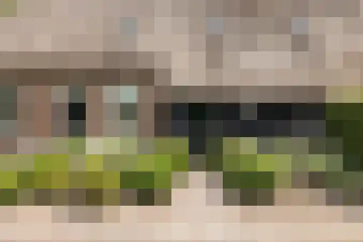 Heusdensebaan 97 Oisterwijk thumbnail 4